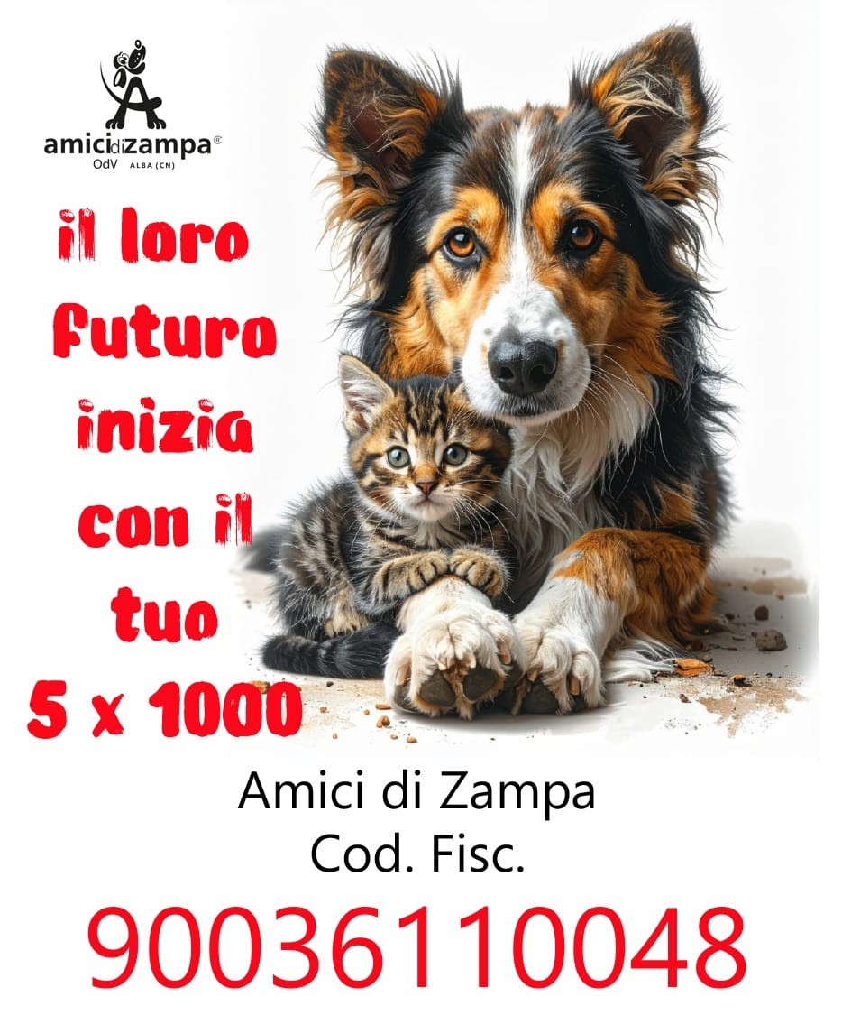 Amici di zampa