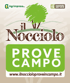 Il Nocciolo